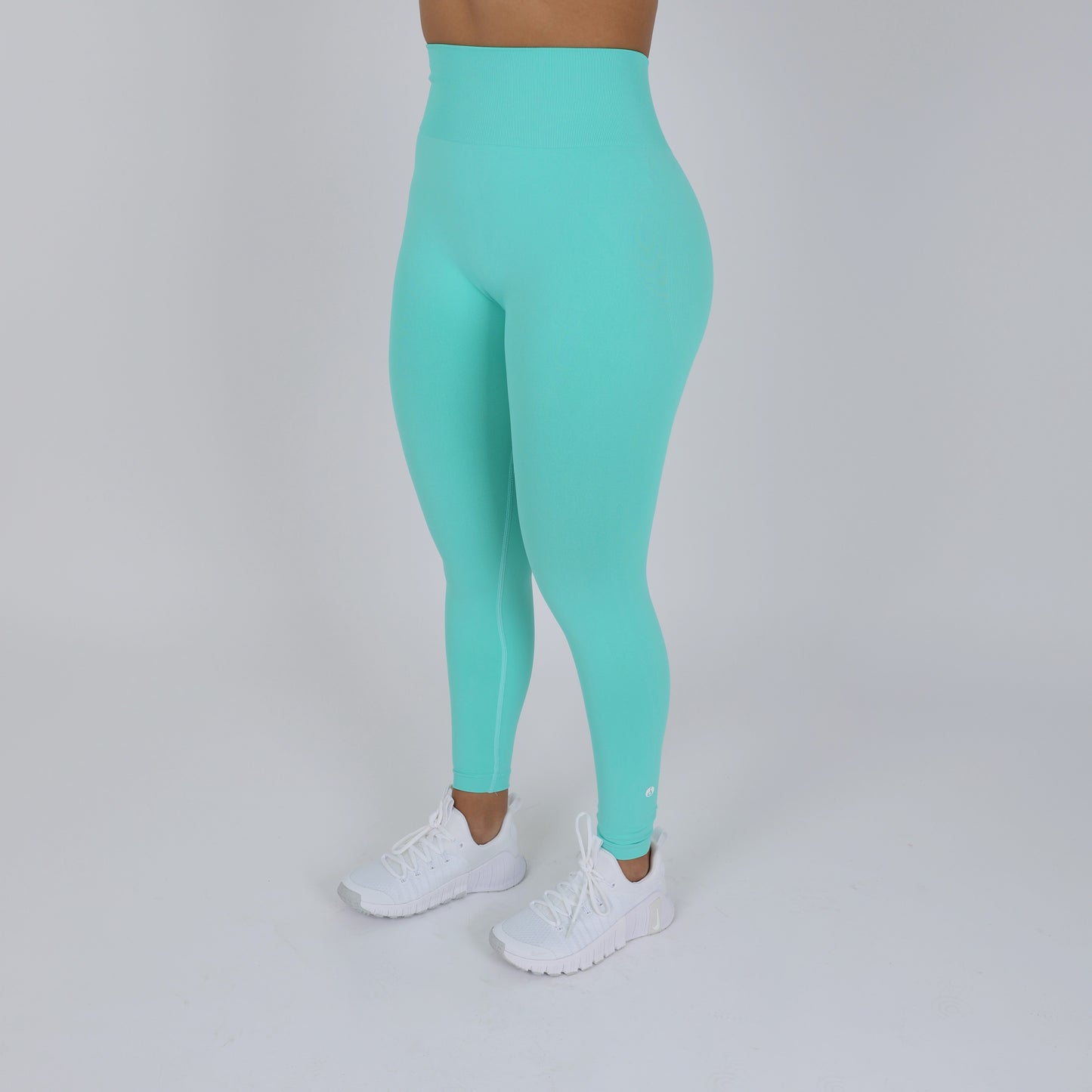 Versatile Seamless High Rise Leggings