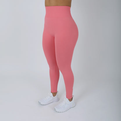 Versatile Seamless High Rise Leggings