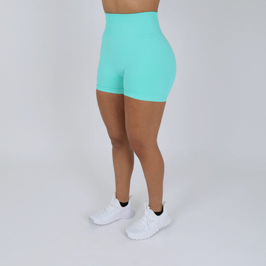 Versatile Seamless High Rise Shorts