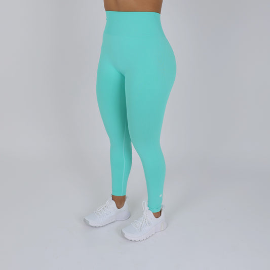 Versatile Seamless High Rise Leggings