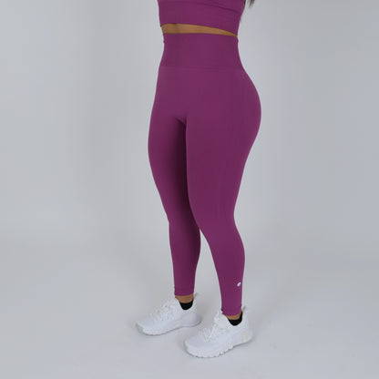 Versatile Seamless High Rise Leggings